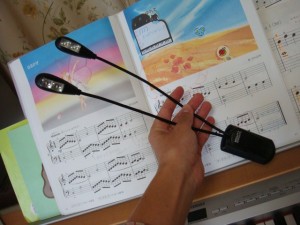 DSC04023 XtraFlex Duet LED Music Light
