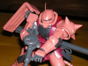 DSCN0470