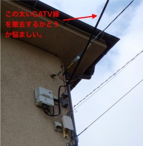 CATV線